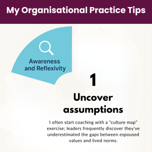 Elements of Cultural Competence in Organisations - Awareness and Reflexivity