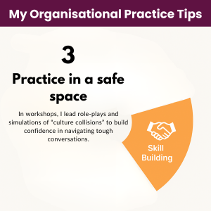 Elements of Cultural Competence in Organisations - Skill Building