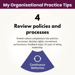 Elements of Cultural Competence in Organisations - Continuous Reflection