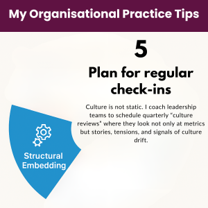 Elements of Cultural Competence in Organisations - Structural Embedding